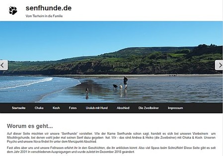 senfhunde.de